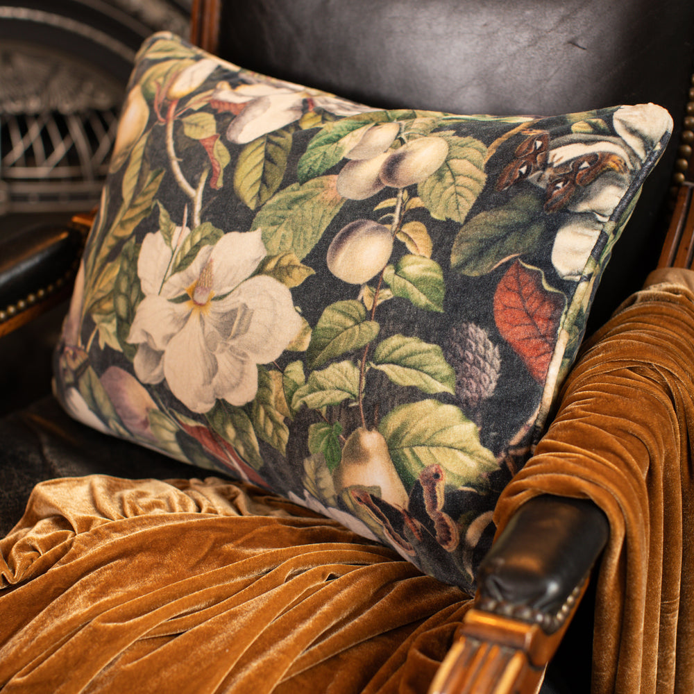 A soft cotton velvet cushion ft. vintage lithographs of magnolias & 1800's etchings of moths and pears - Market of Stars