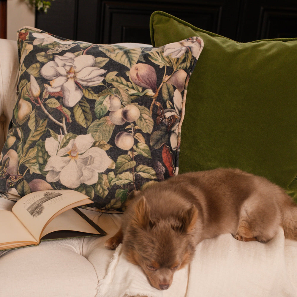 
                  
                    A soft cotton velvet cushion ft. vintage lithographs of magnolias & 1800's etchings of moths and pears - Market of Stars
                  
                