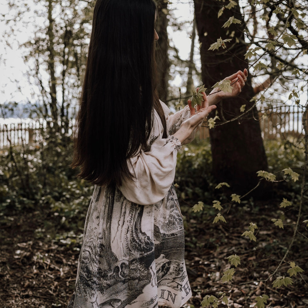 
                  
                    Model wearing knee-length dress with long sleeves featuring vintage print of a forest, songbirds and sunshine - Market of Stars
                  
                